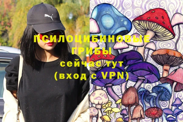 не бодяженный Елабуга