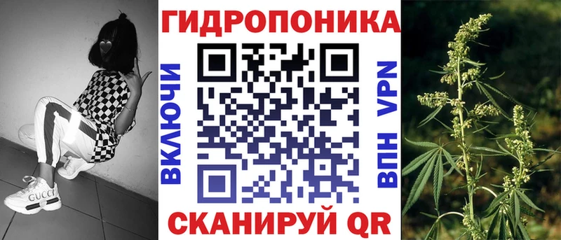 Бошки марихуана марихуана  Купить закладки  Туринск 
